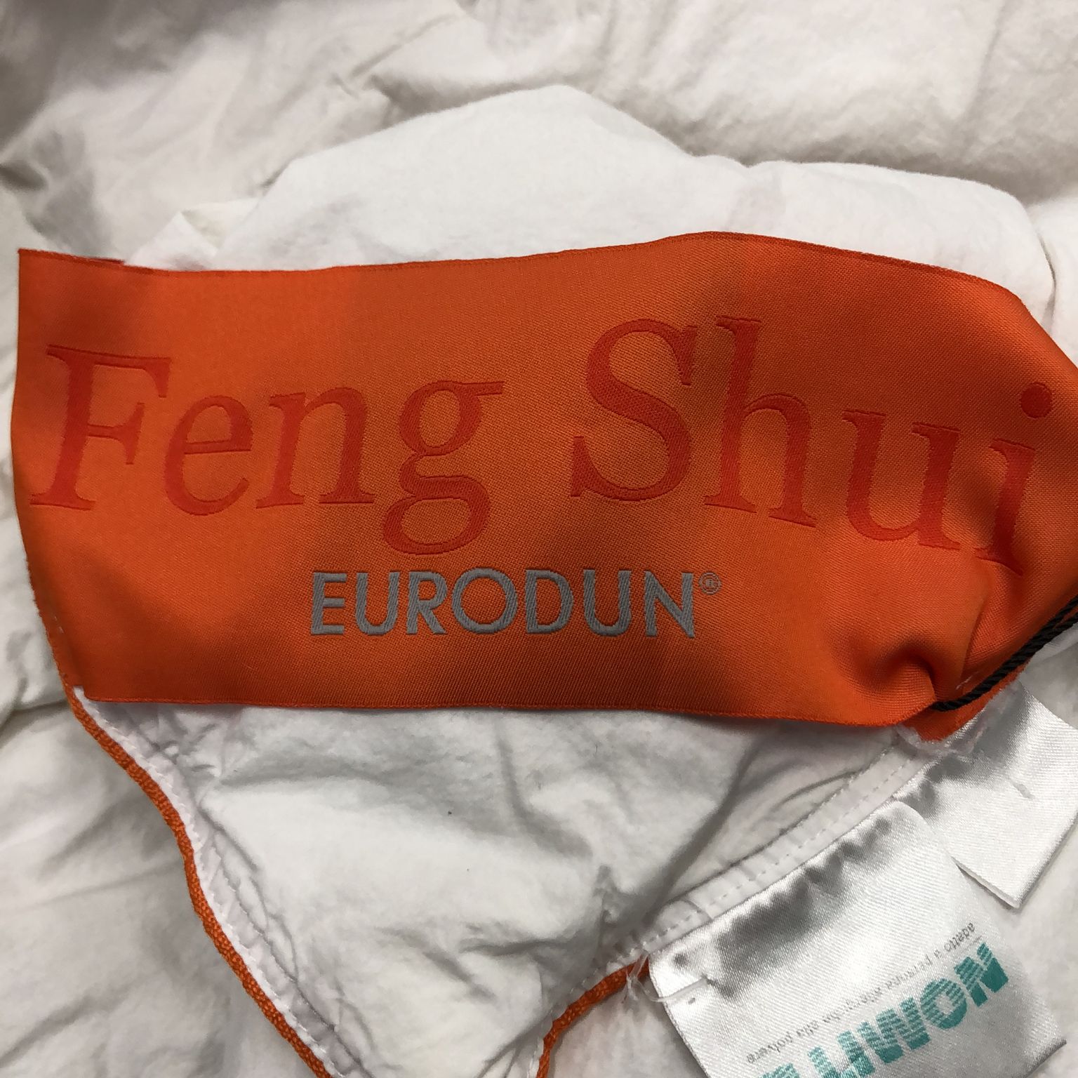 The Feng Shui