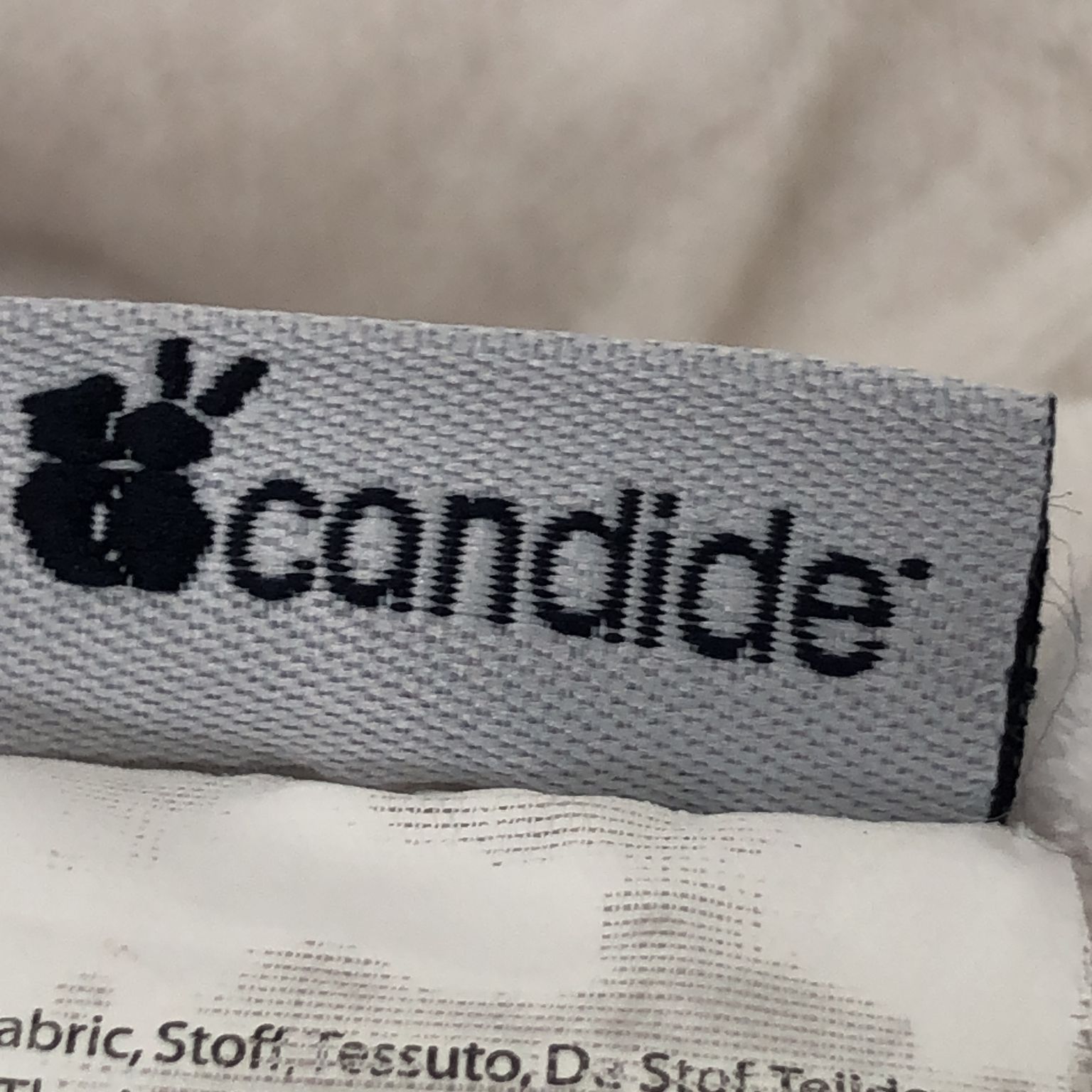 Candide