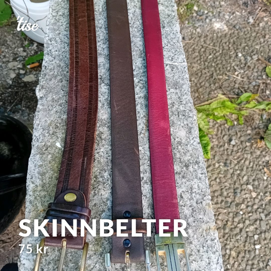 Skinnbelter