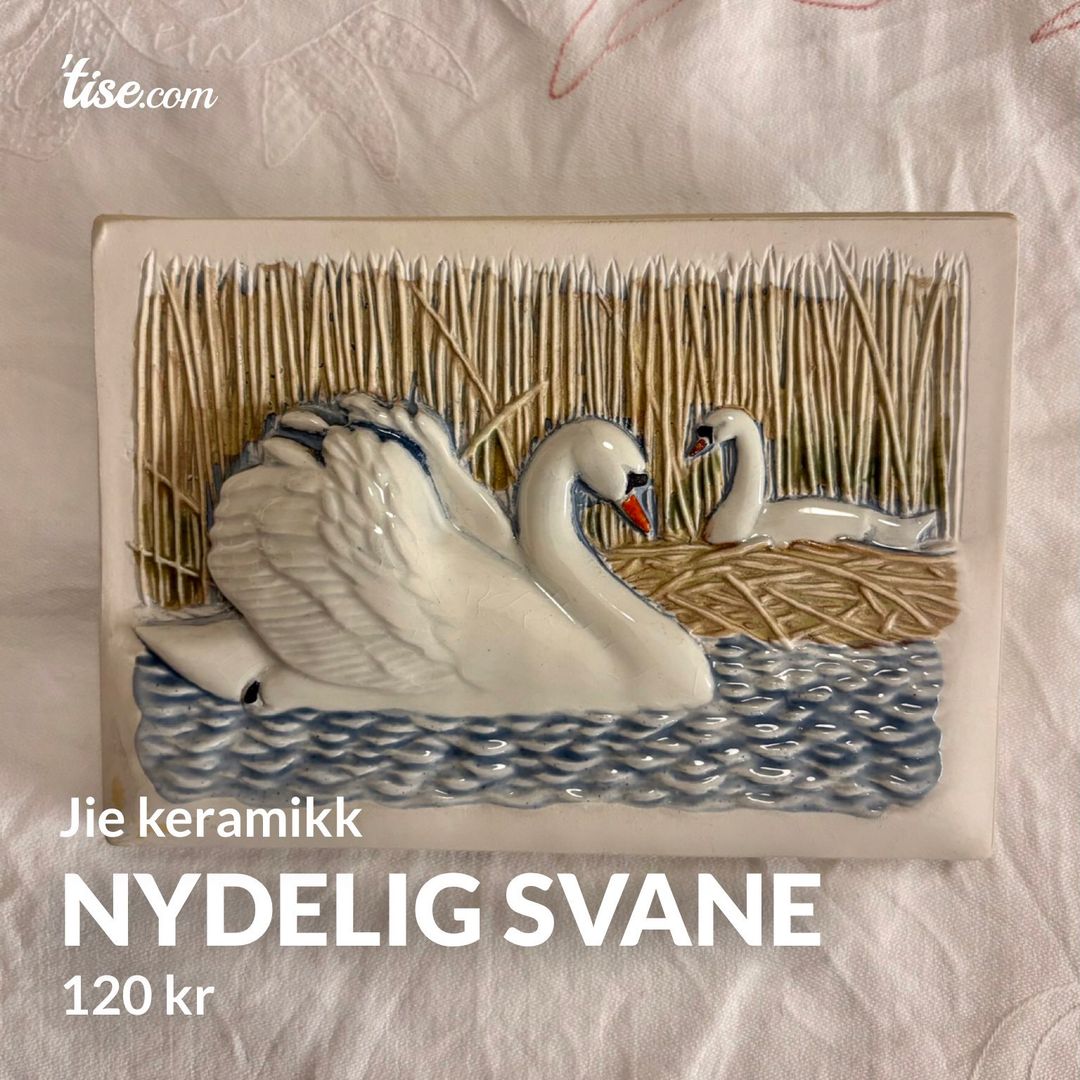 Nydelig svane