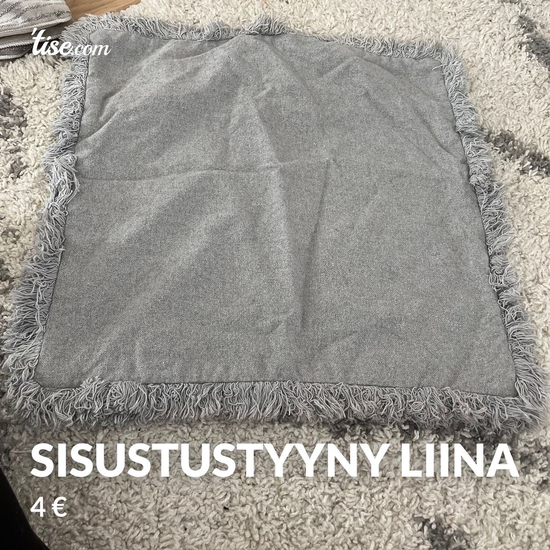 Sisustustyyny liina