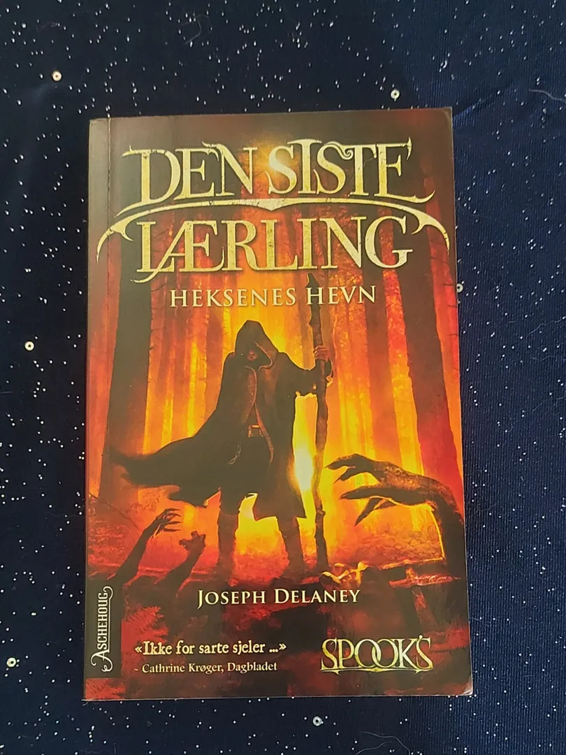 Den siste lærling