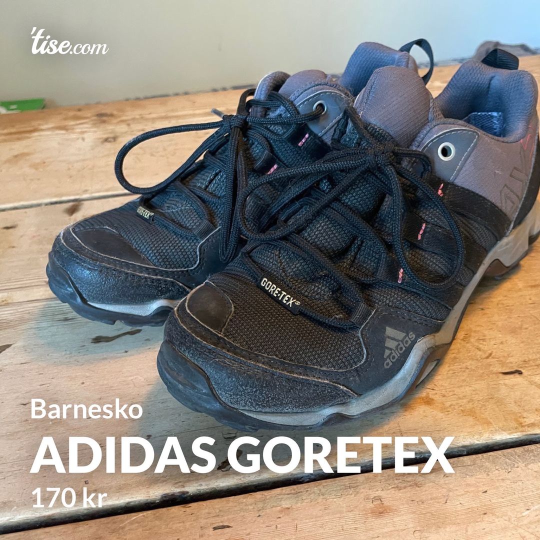 Adidas goretex