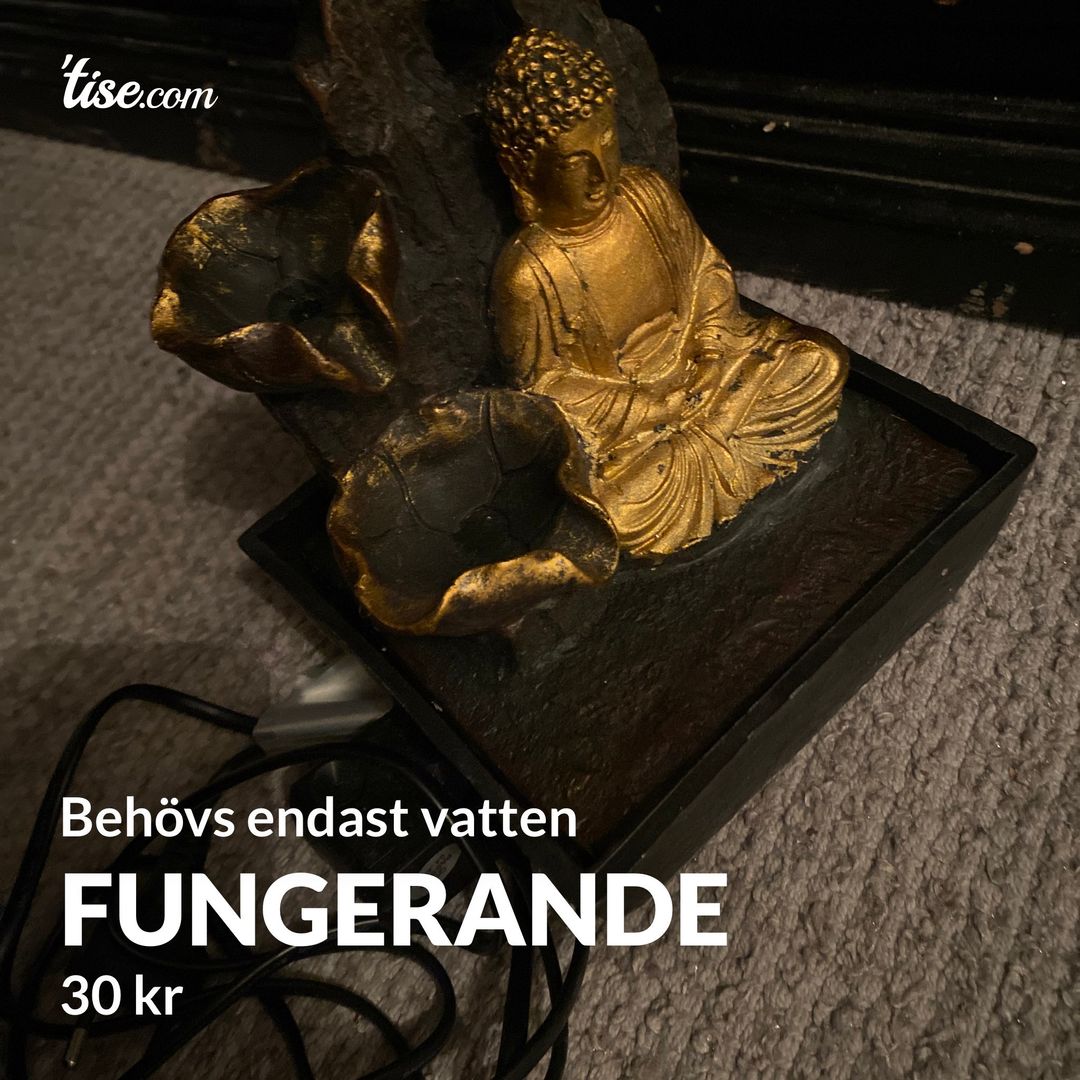 Fungerande