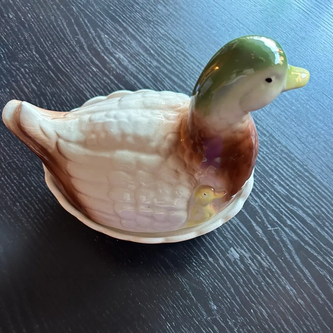 egghøne | eggand🐣🦆