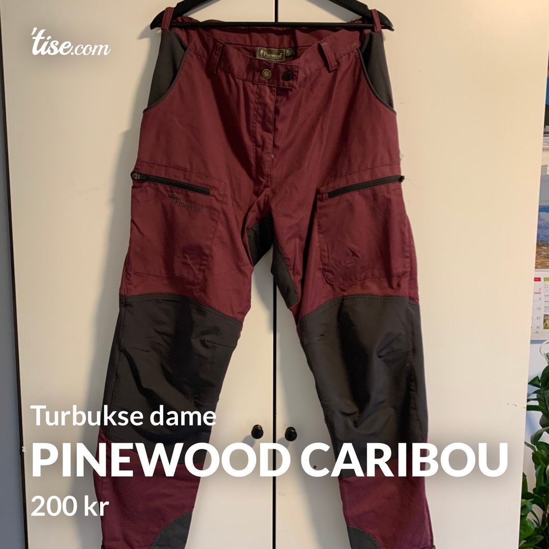 Pinewood Caribou