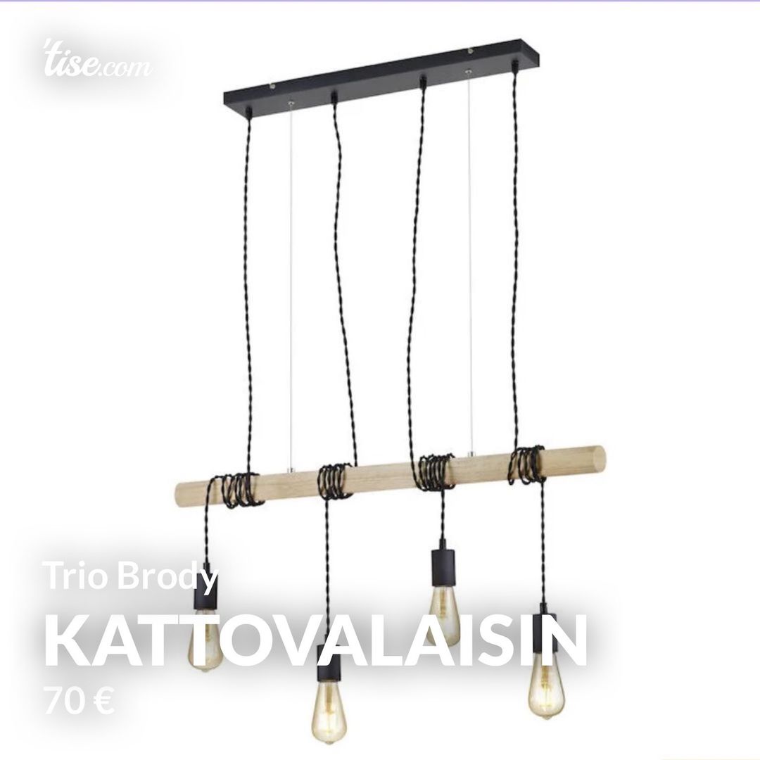 Kattovalaisin