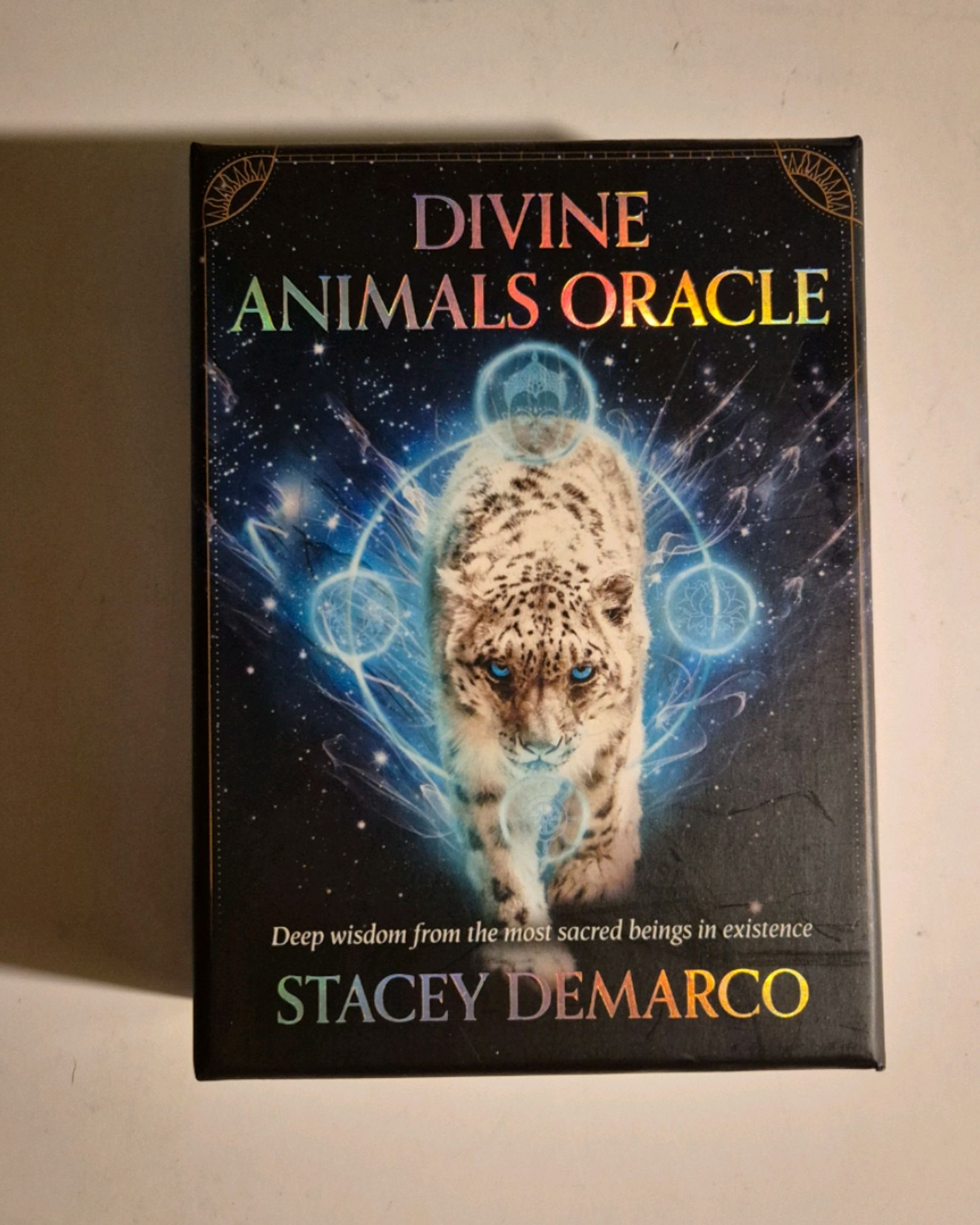 DivineAnimals Oracle