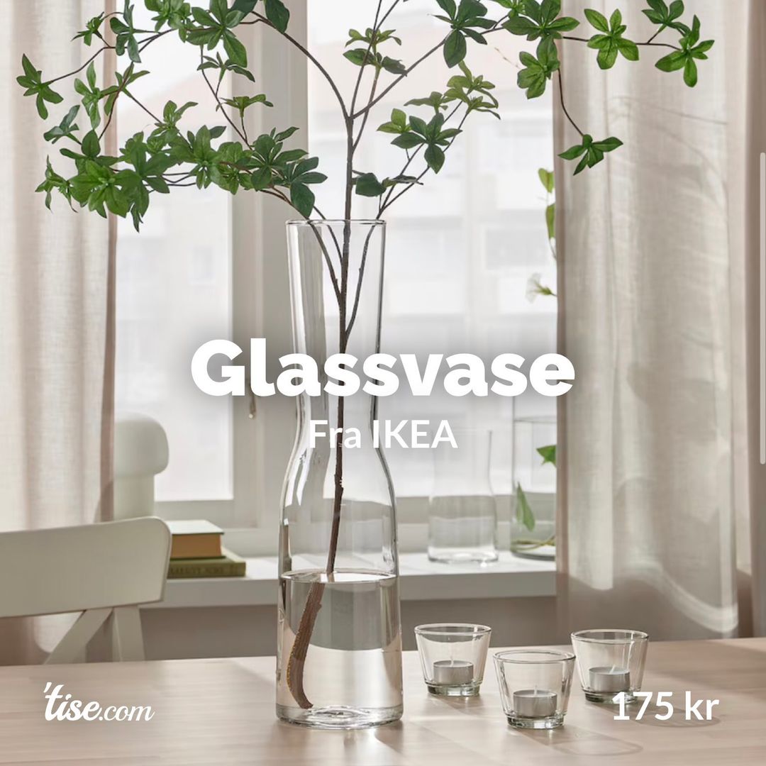 Glassvase