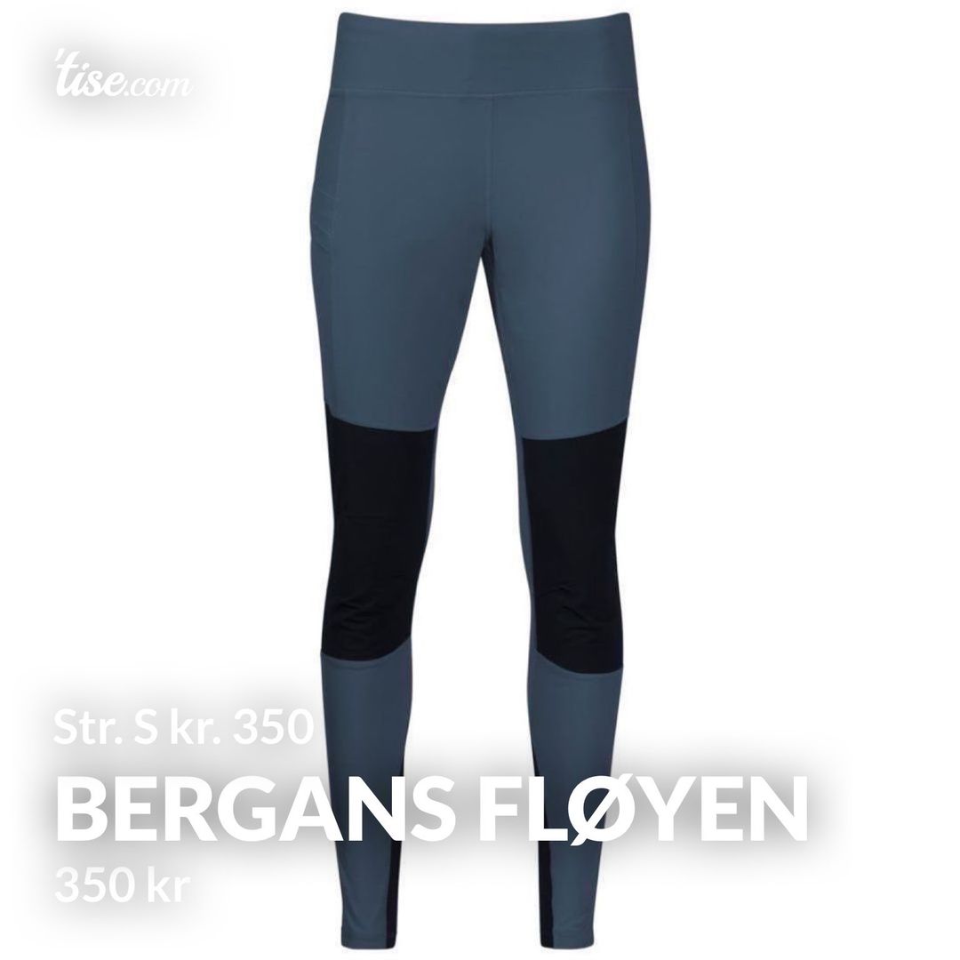 Bergans fløyen