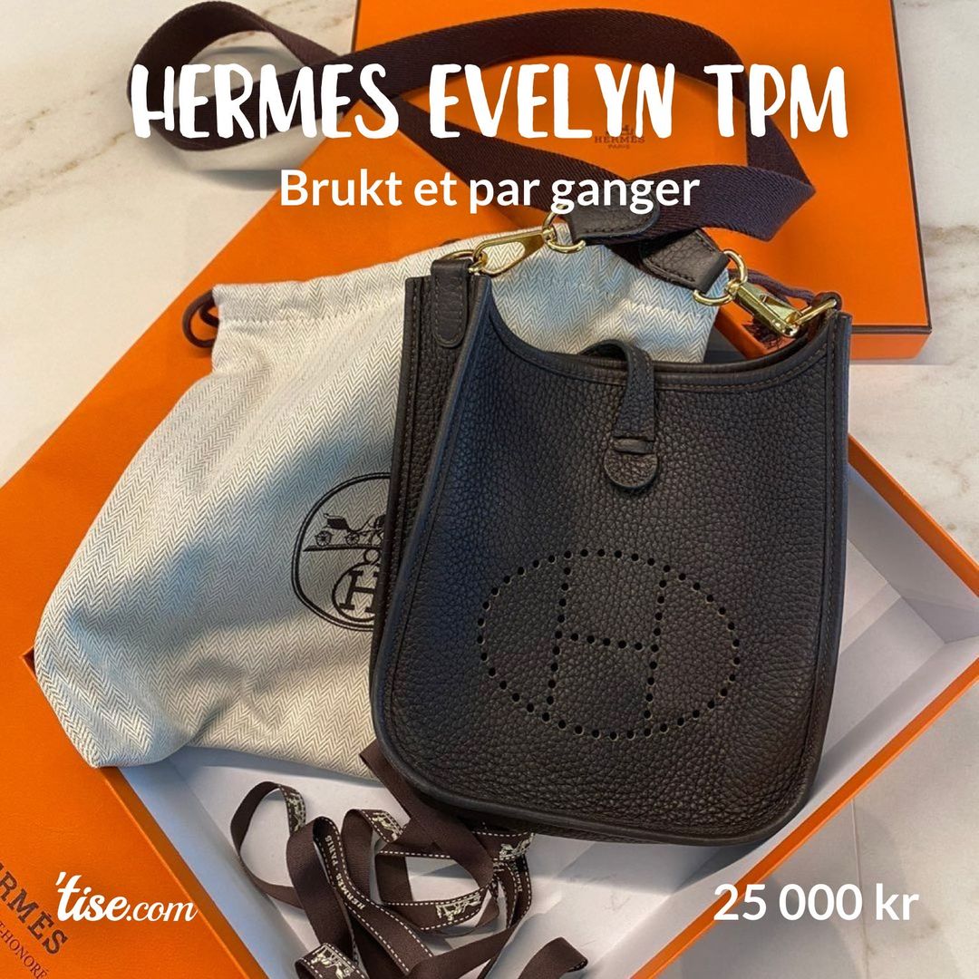 Hermes evelyn TPM