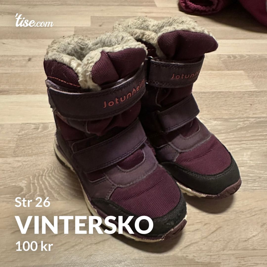 Vintersko