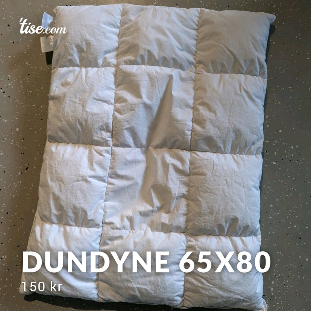 Dundyne 65x80