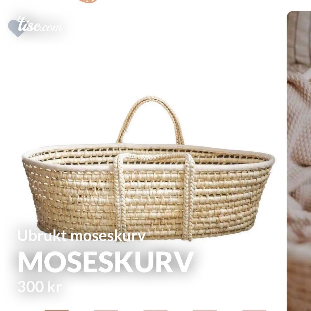 Moseskurv