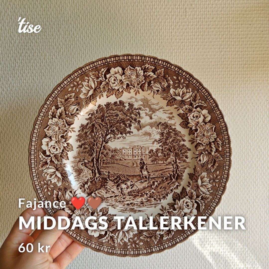 Middags Tallerkener