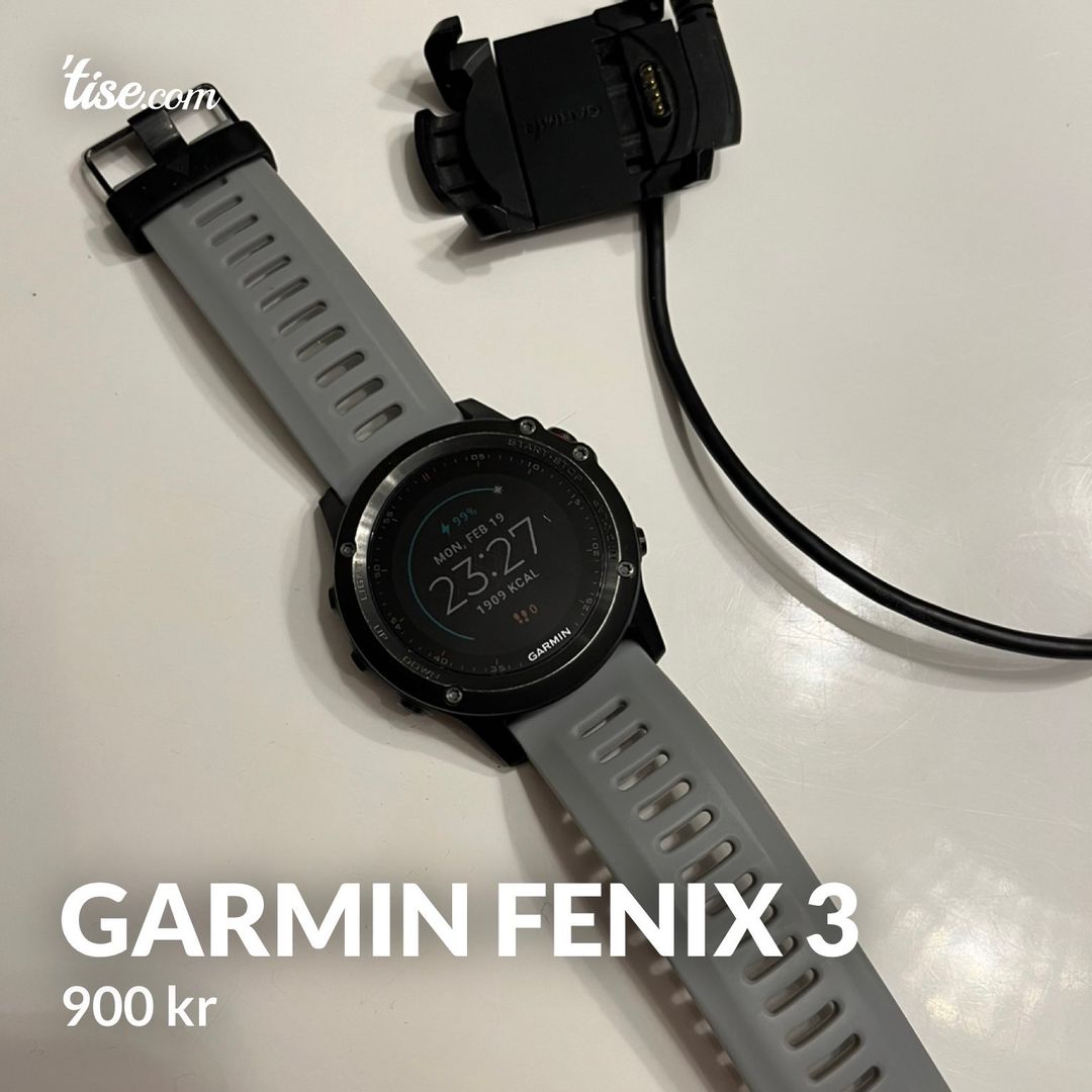 Garmin Fenix 3