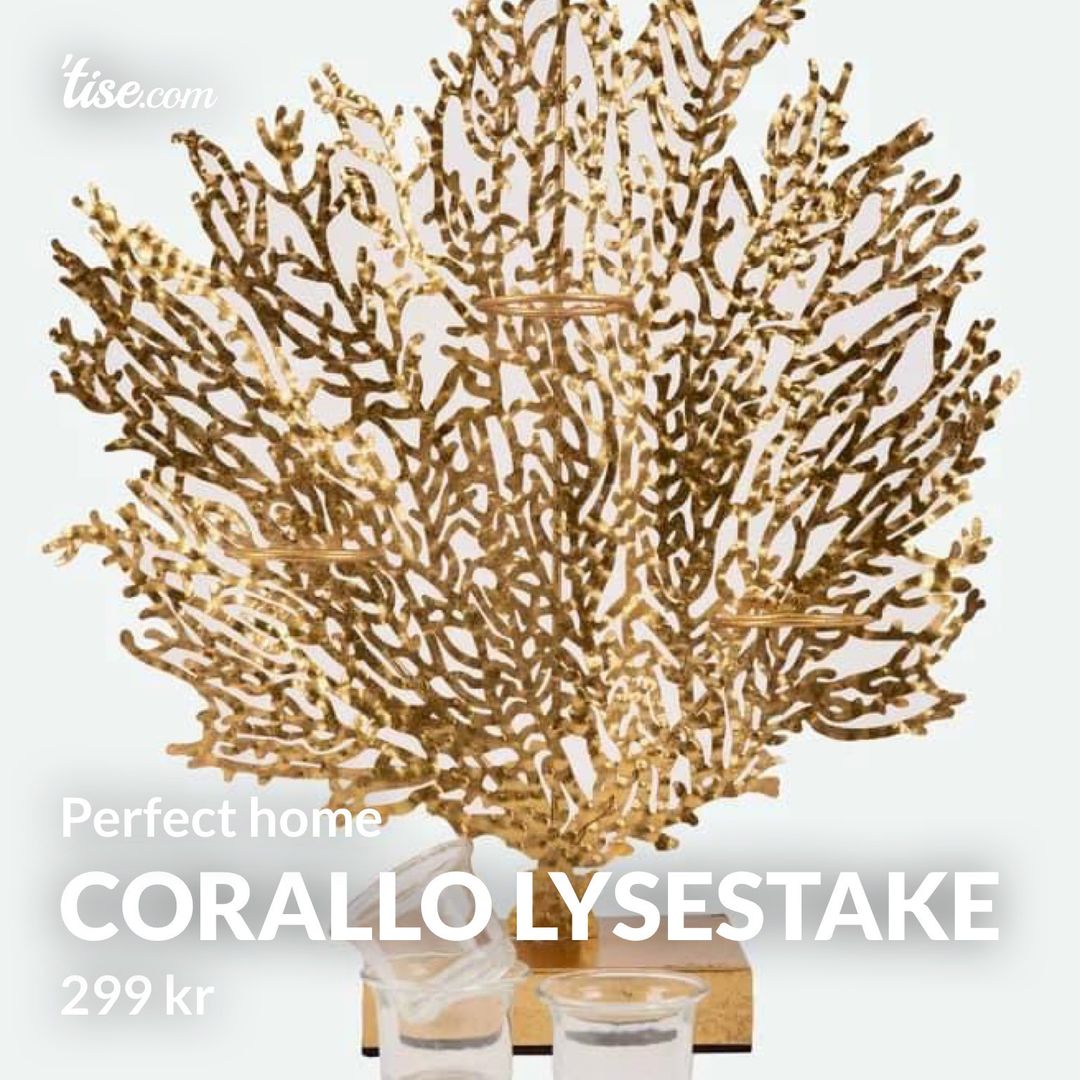 Corallo lysestake