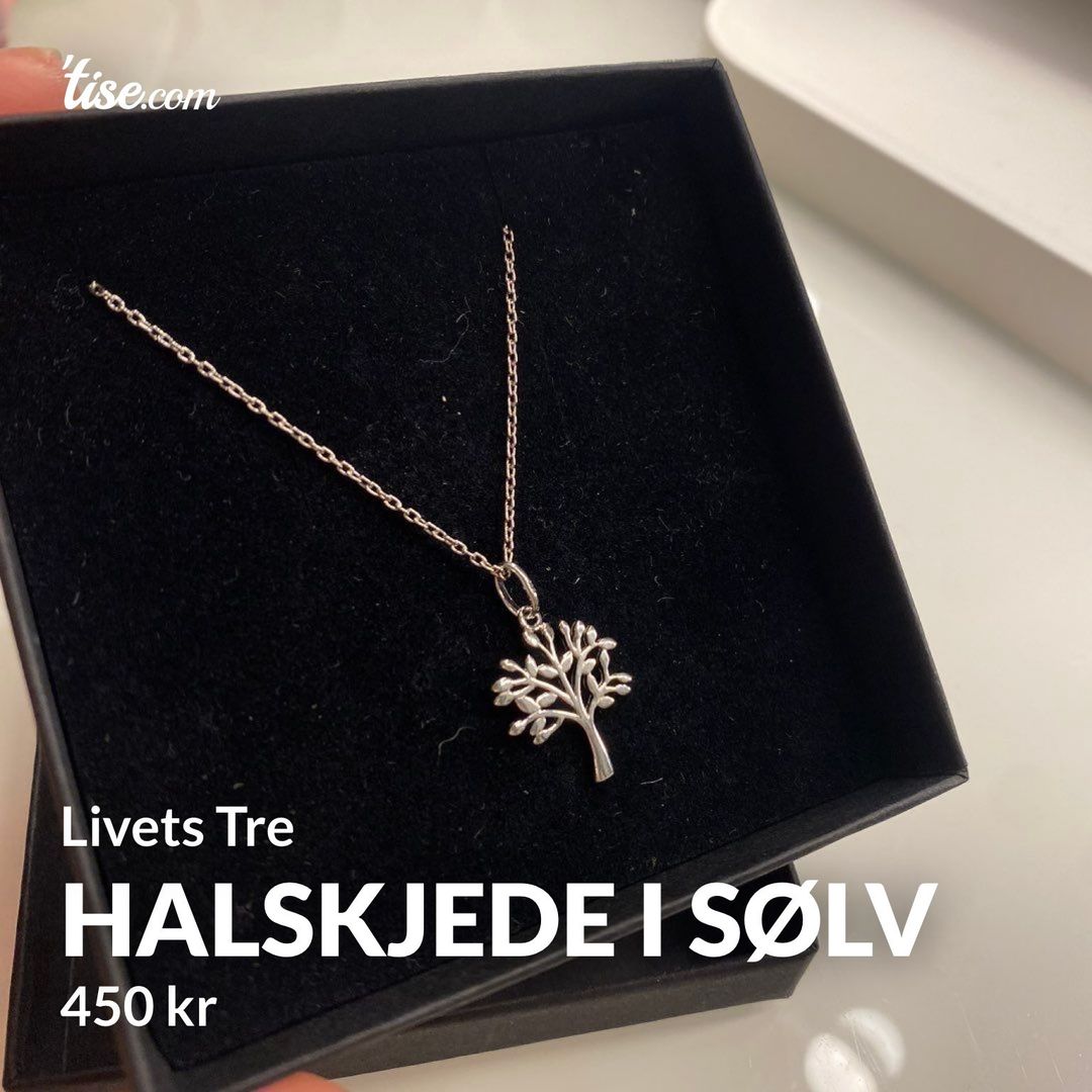 Halskjede i sølv