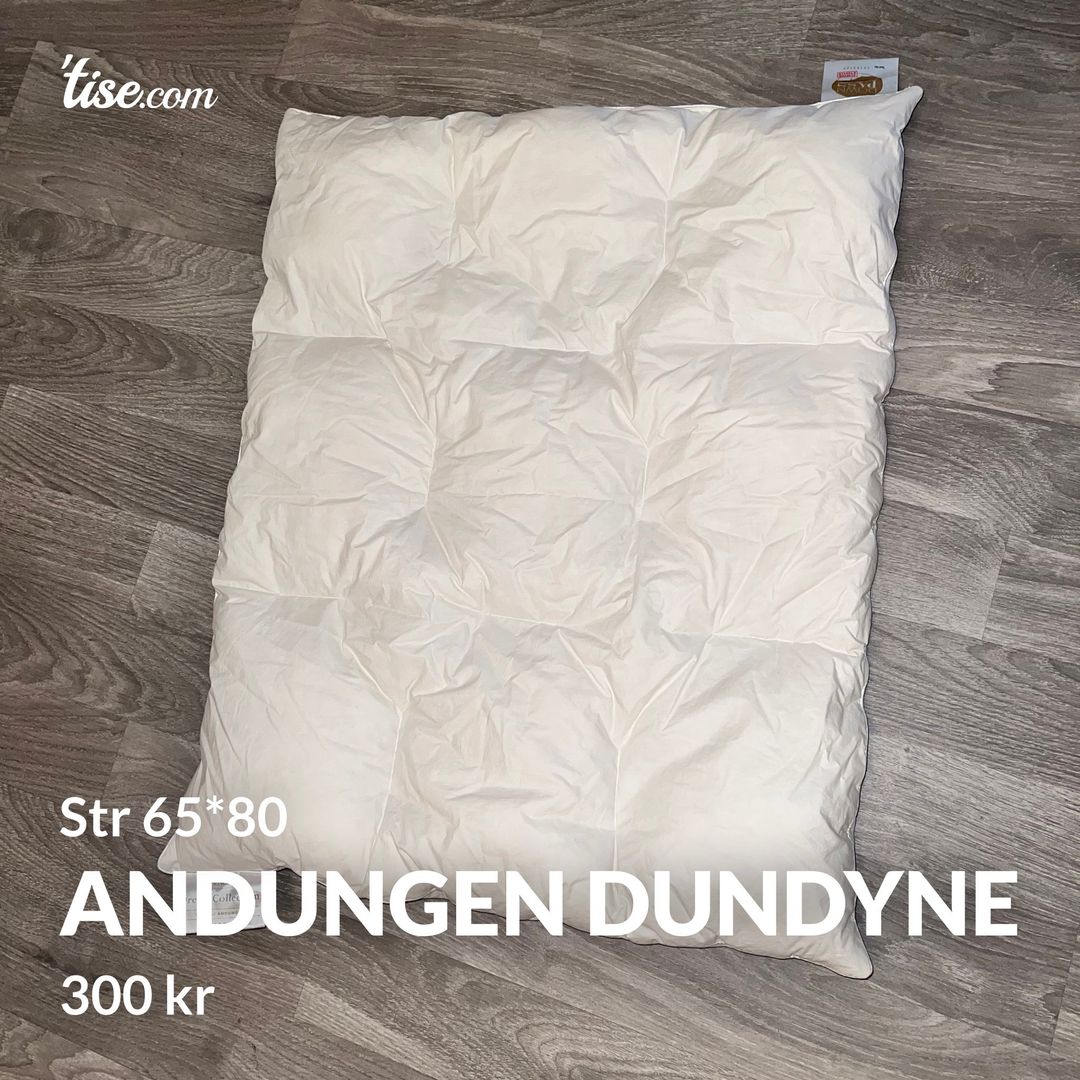 Andungen dundyne