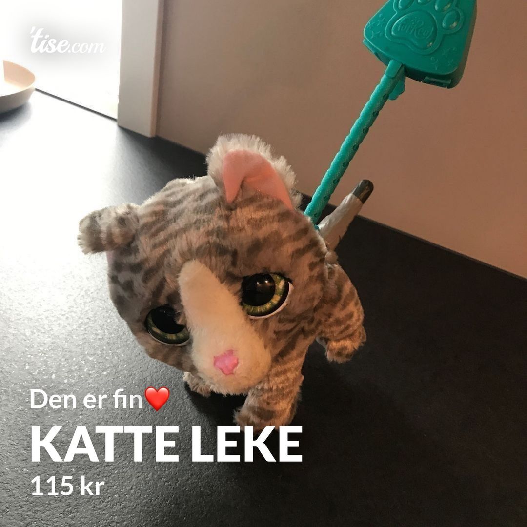 Katte leke