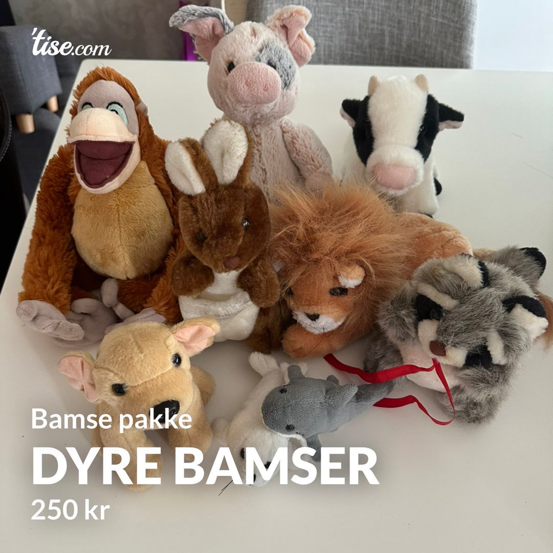 Dyre bamser