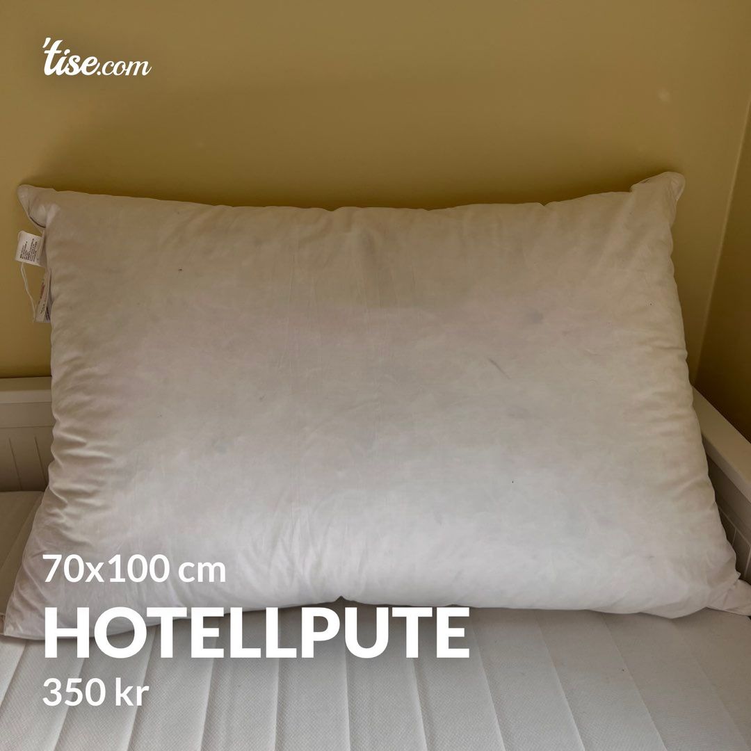 Hotellpute