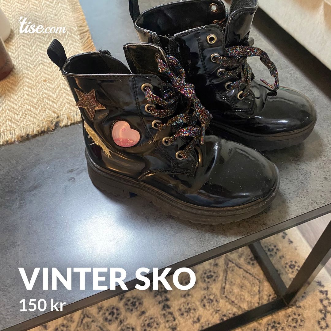 Vinter sko