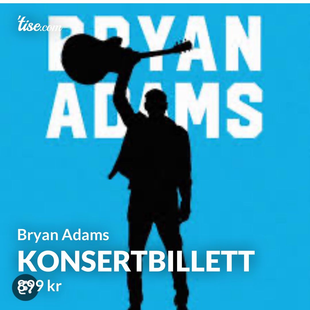 Konsertbillett