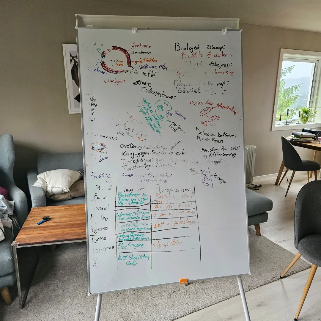 Whiteboard