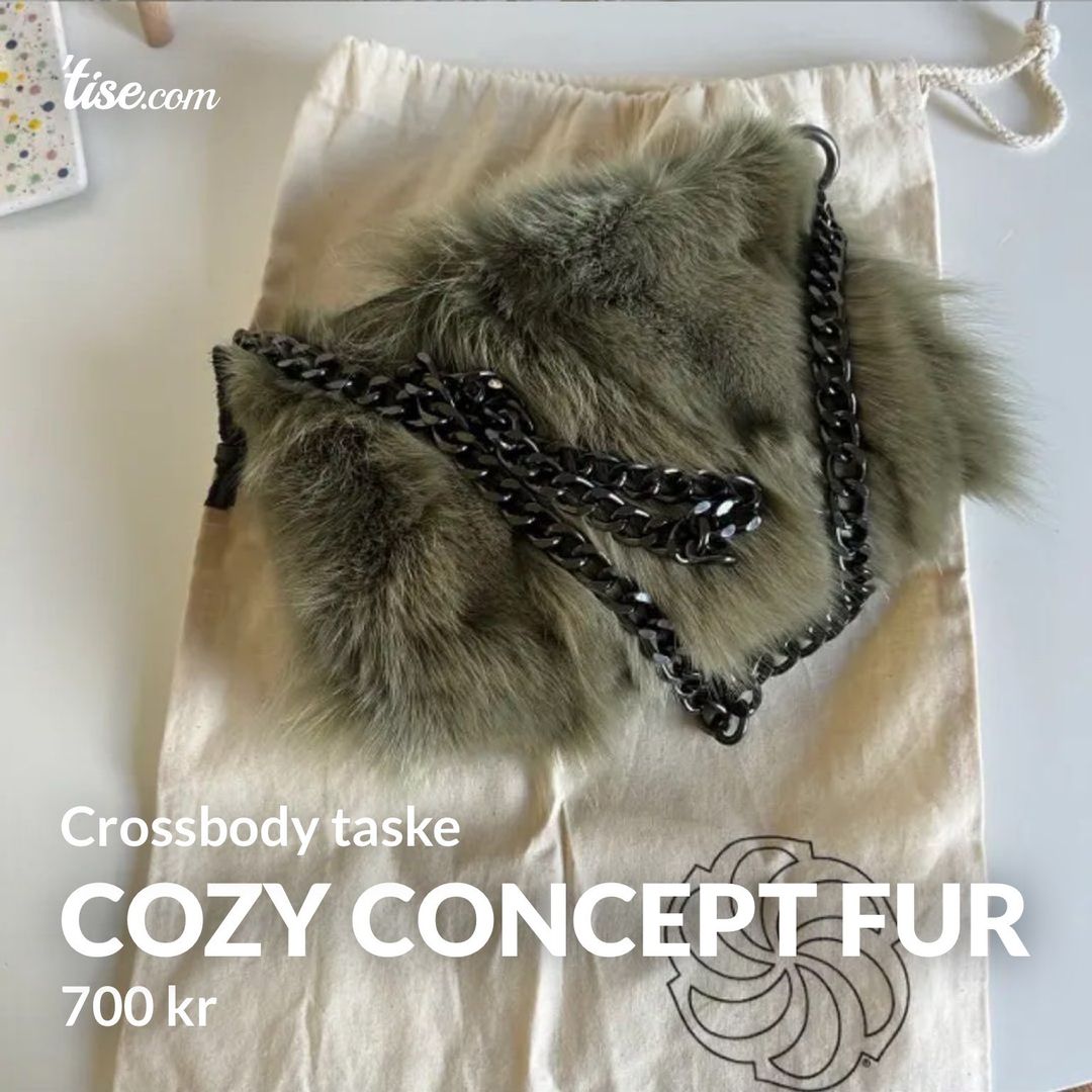 Cozy concept fur