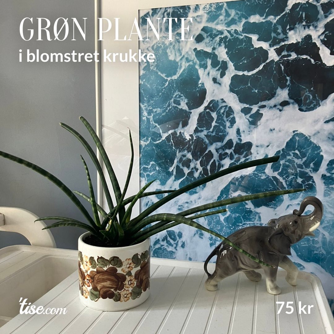 Grøn plante