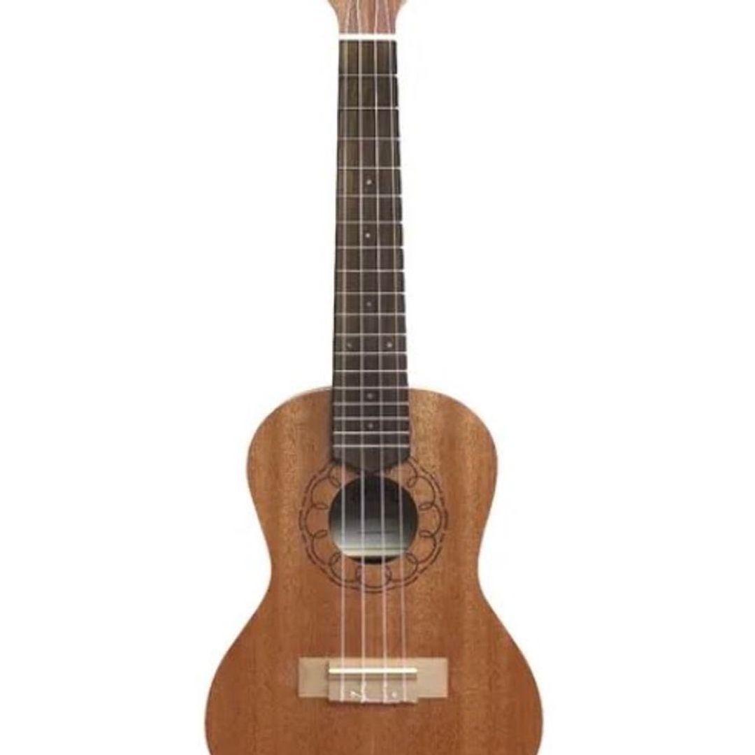 Ukulelepakke