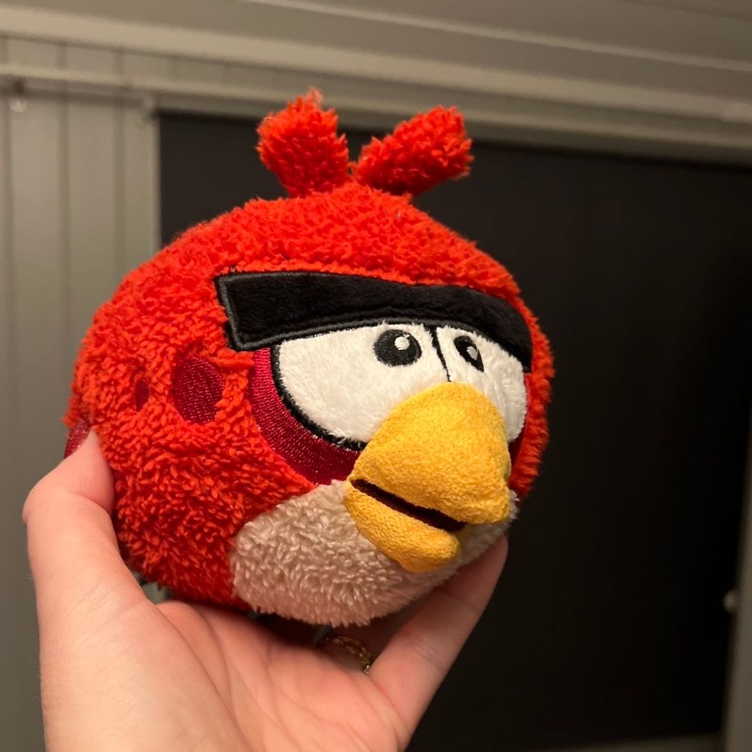 Angry bird