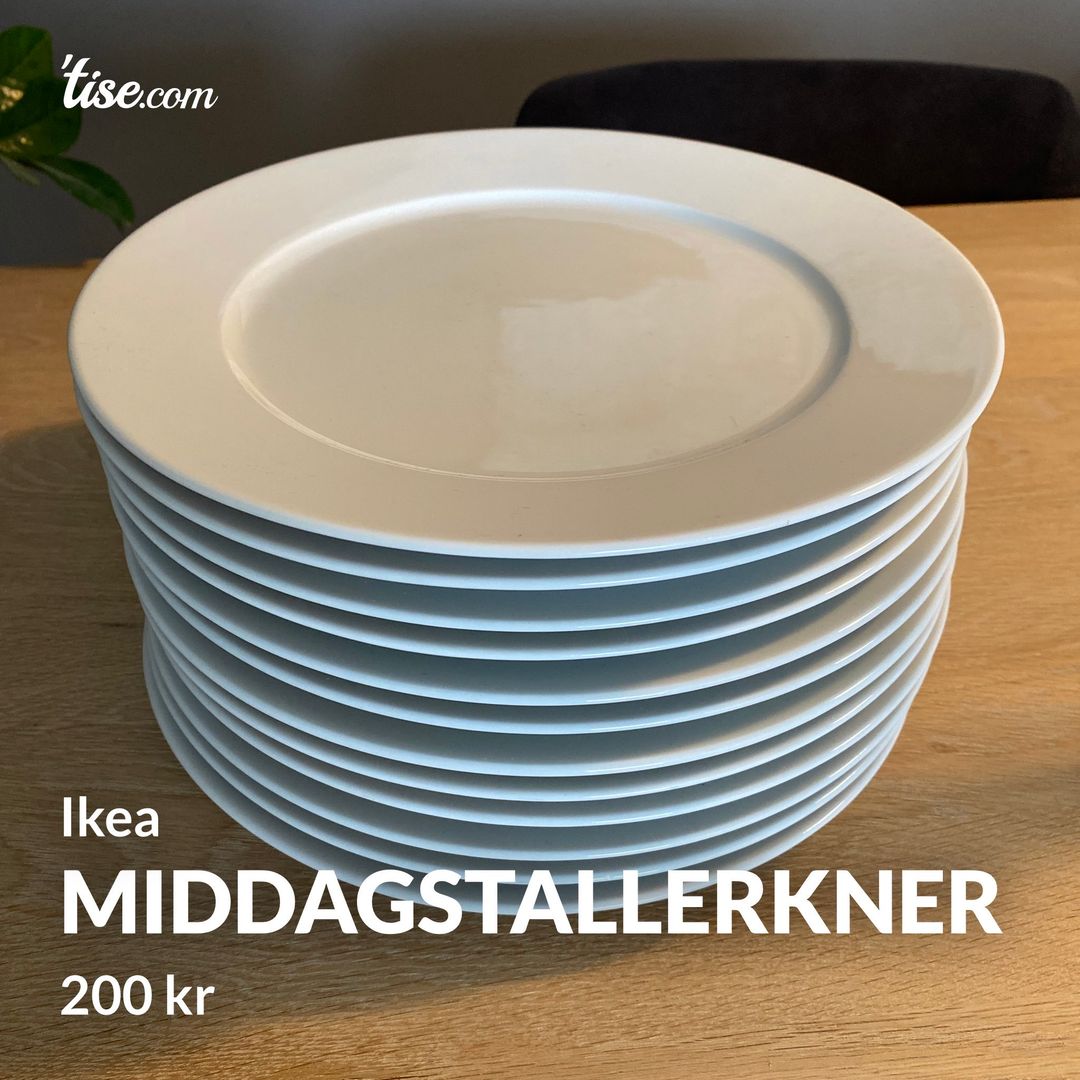 Middagstallerkner