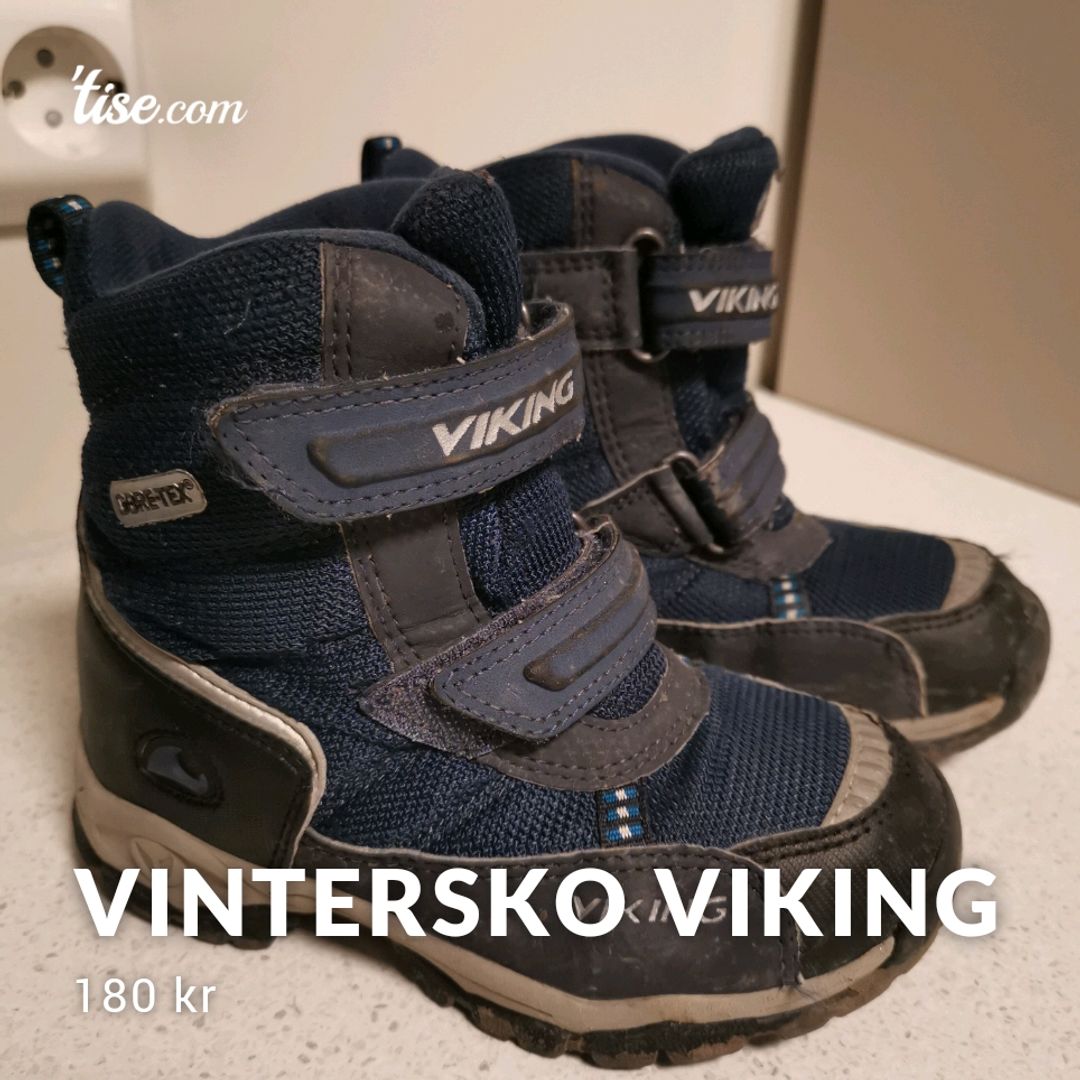 Vintersko Viking