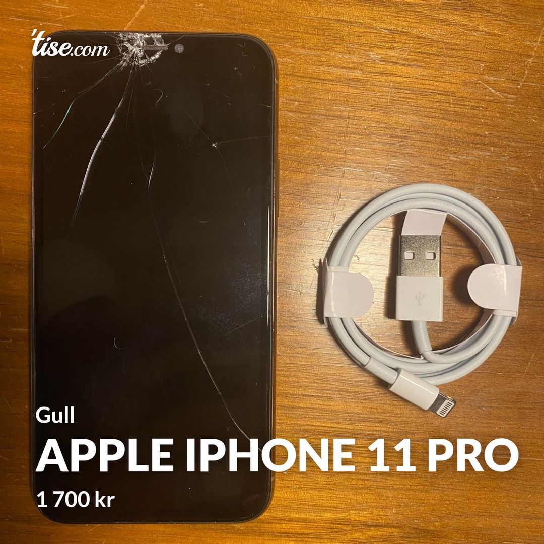 Apple iPhone 11 PRO