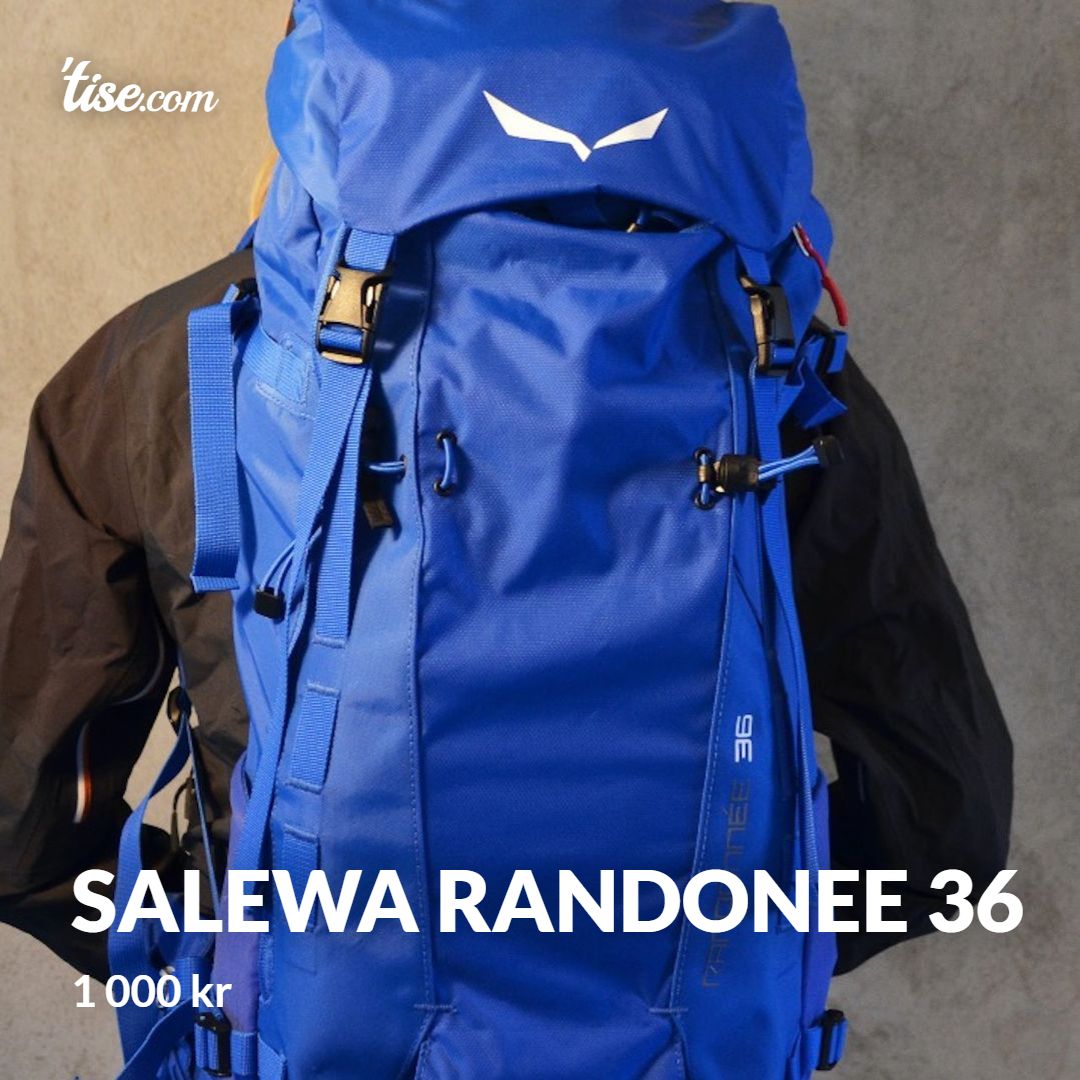 Salewa Randonee 36