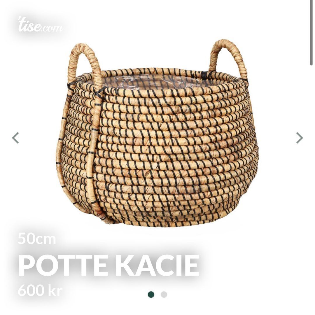 Potte Kacie