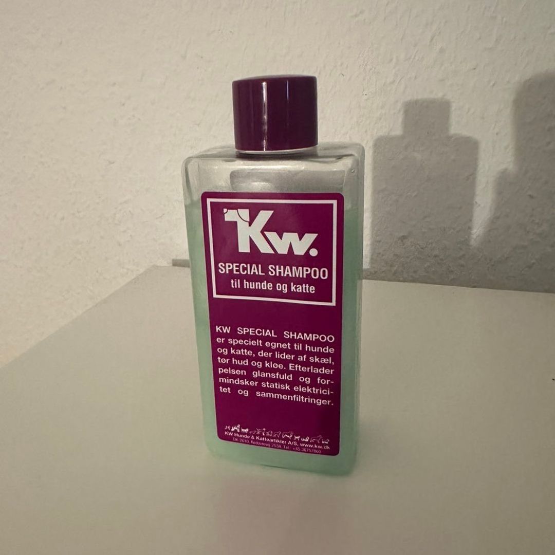 katte shampoo