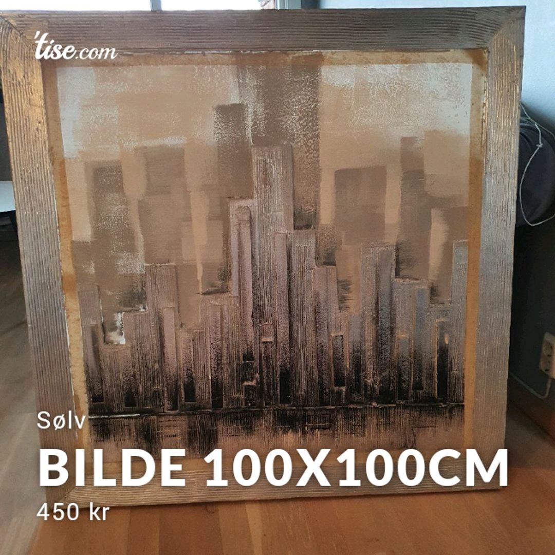 Bilde 100x100cm