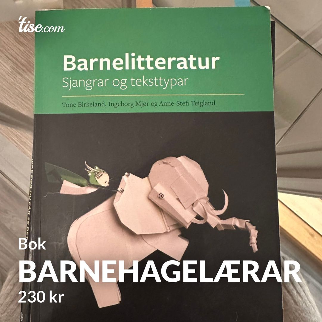 Barnehagelærar