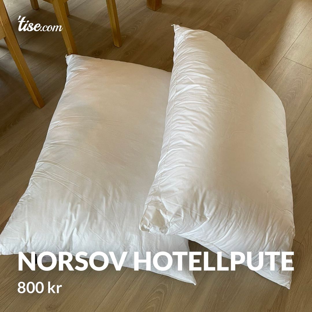 Norsov hotellpute