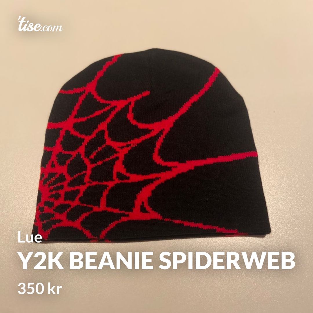 Y2k beanie spiderweb