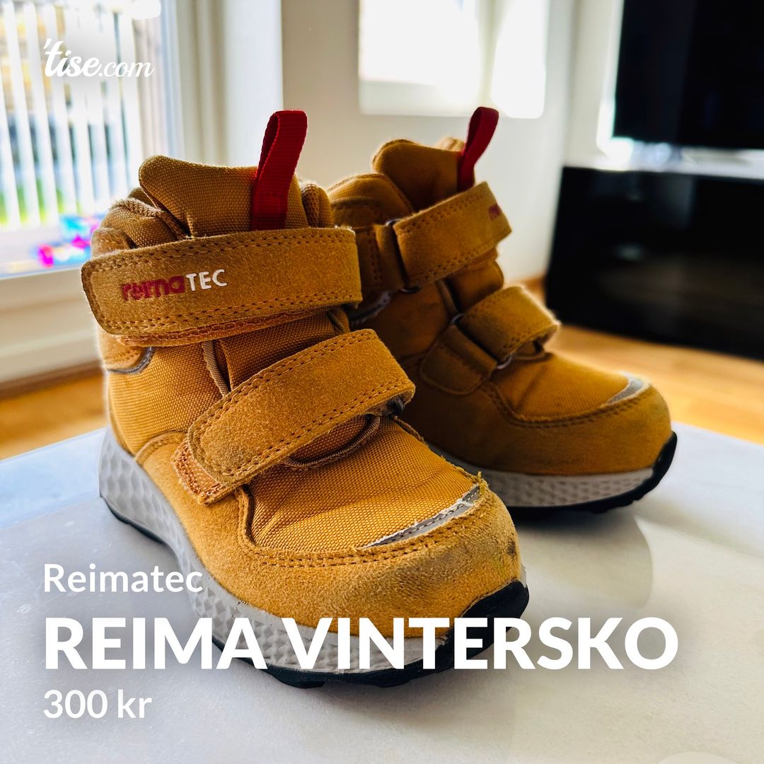 Reima Vintersko