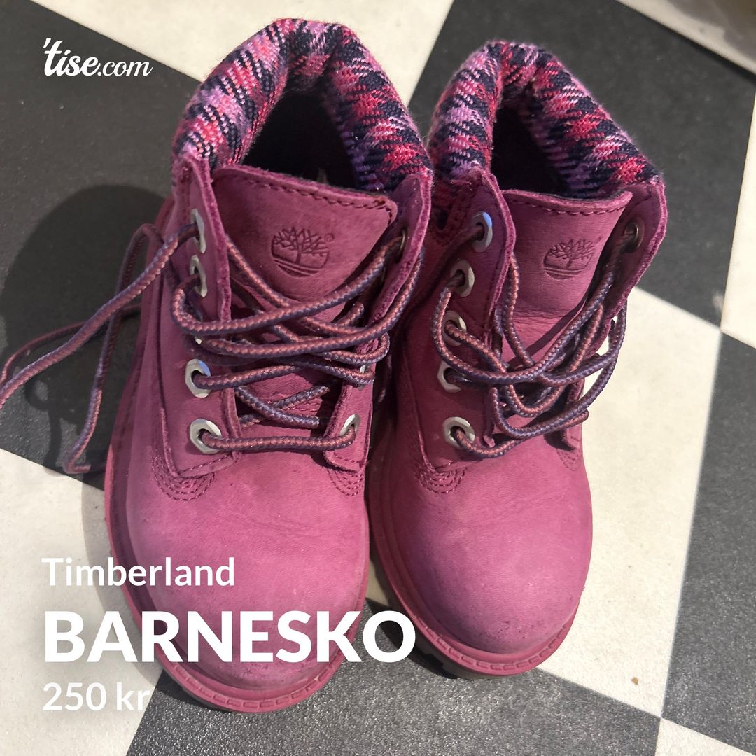 Barnesko