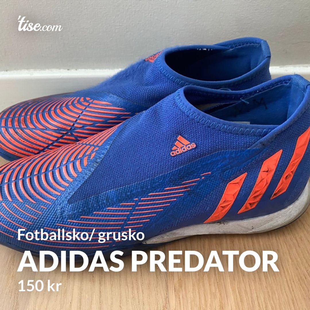 Adidas predator