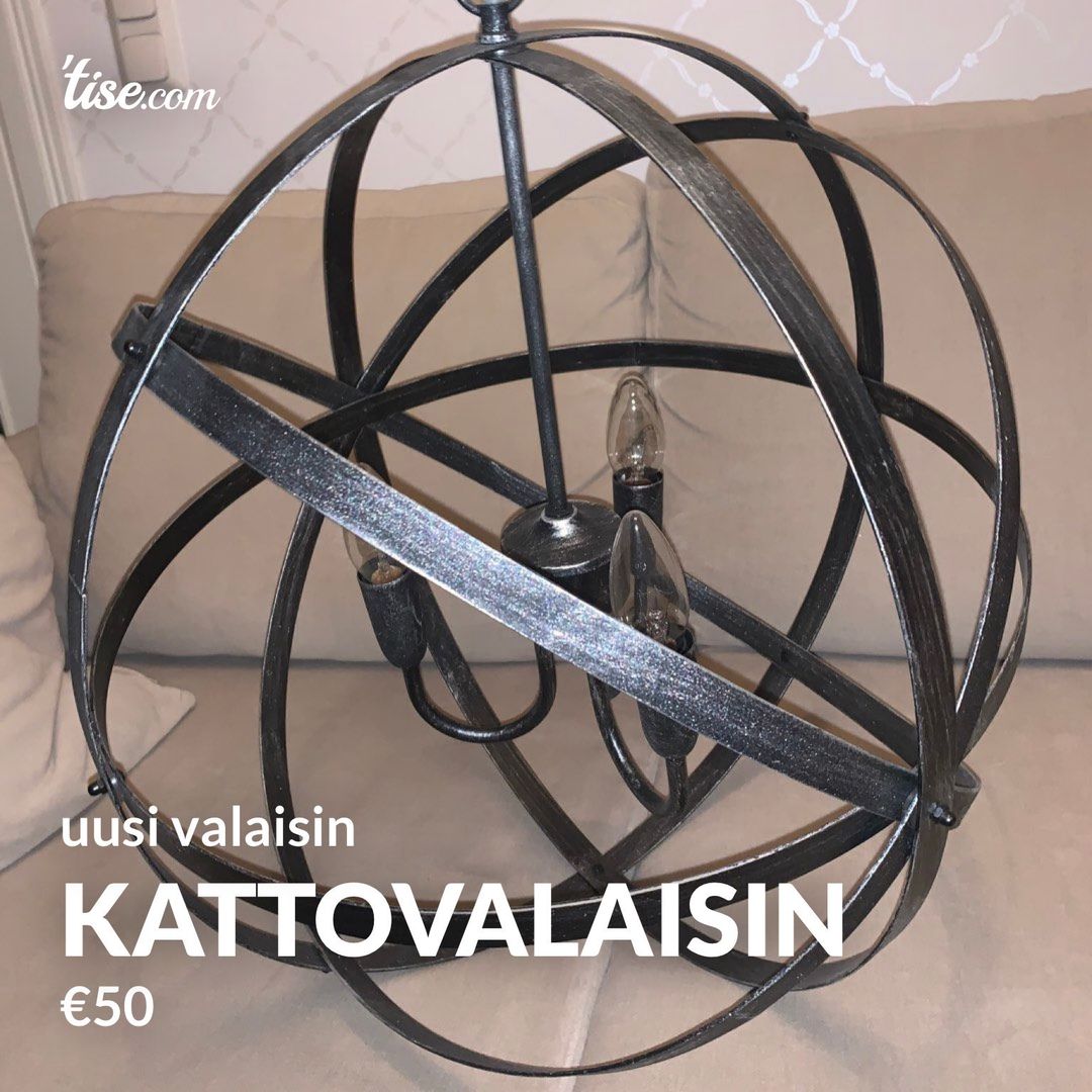 Kattovalaisin