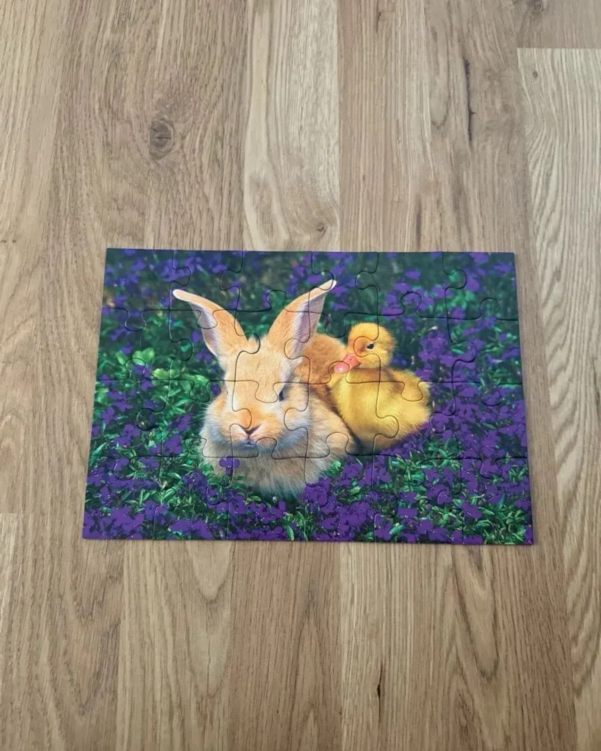 Ravensburger