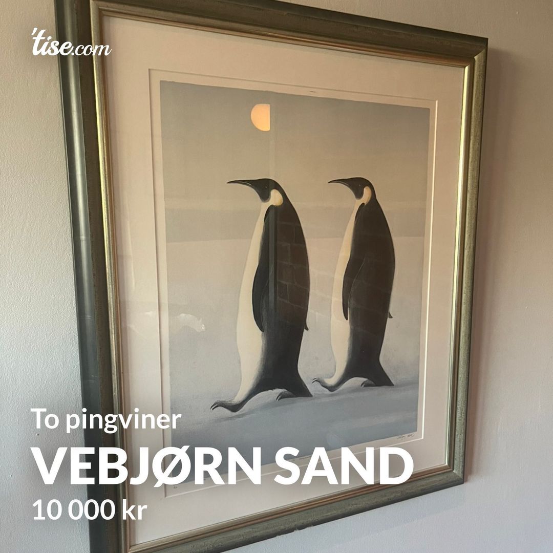 Vebjørn Sand