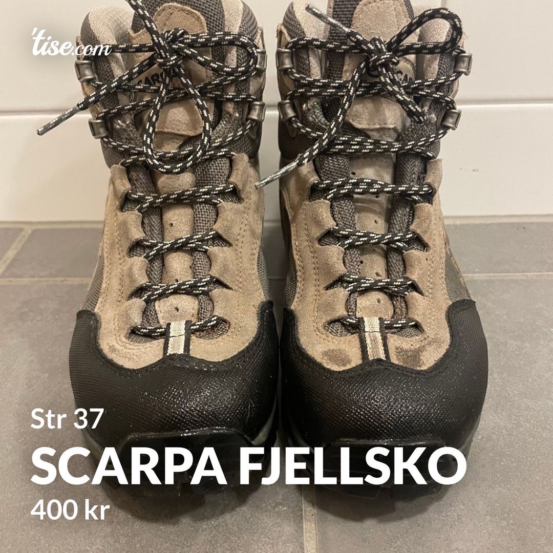 Scarpa fjellsko